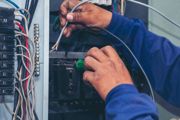 Best Generator Installation Services  in Albion, MI